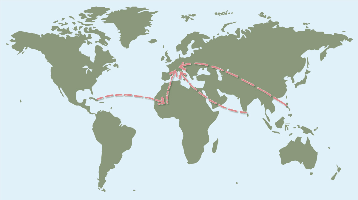 Carte du monde avec les distances parcourues par les ingrédients des savons industriels classiques.
